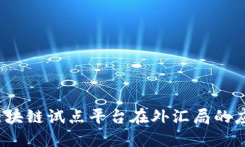 2023年区块链试点平台在外汇局的应用与发展