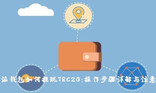 比特派钱包如何提现TRC20：操作步骤详解与注意事项