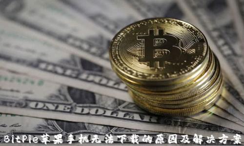 
BitPie苹果手机无法下载的原因及解决方案