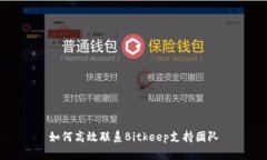 如何高效联系Bitkeep支持团