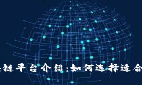 首码区块链平台介绍：如何选择适合你的项目