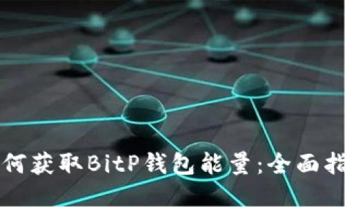 如何获取BitP钱包能量：全面指南
