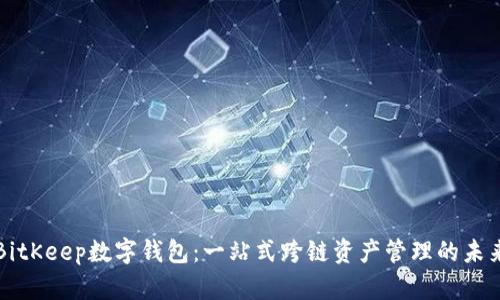 BitKeep数字钱包：一站式跨链资产管理的未来