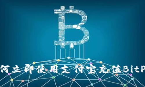 2025必看：如何立即使用支付宝充值BitP钱包技巧详解