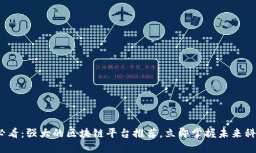 2025必看：强大的区块链平台推荐，立即掌握未来科技趋势