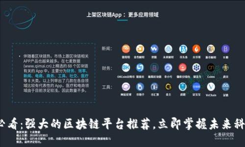 2025必看：强大的区块链平台推荐，立即掌握未来科技趋势