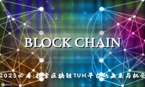 2025必看：探索区块链TUM平台的未来与机会
