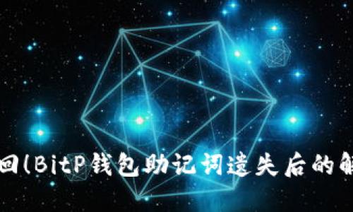 立即找回！BitP钱包助记词遗失后的解决方案
