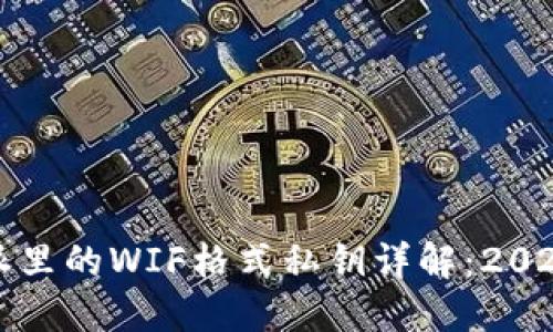 比特派里的WIF格式私钥详解：2025必看