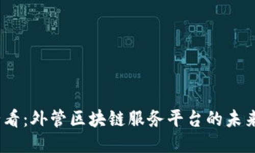 2025必看：外管区块链服务平台的未来与机遇