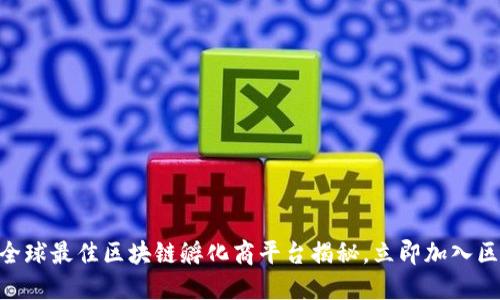 : 2025必看！全球最佳区块链孵化商平台揭秘，立即加入区块链创业潮流