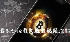 立即下载Bitpie钱包教程视
