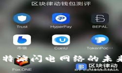 2025必看：B特派闪电网络的未来与发展趋势