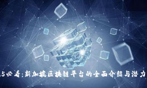 2025必看：新加坡区块链平台的全面介绍与潜力分析