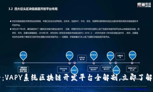 2025必看：VAPY系统区块链开发平台全解剖，立即了解未来趋势！