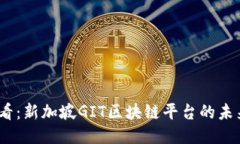 2025必看：新加坡GIT区块链