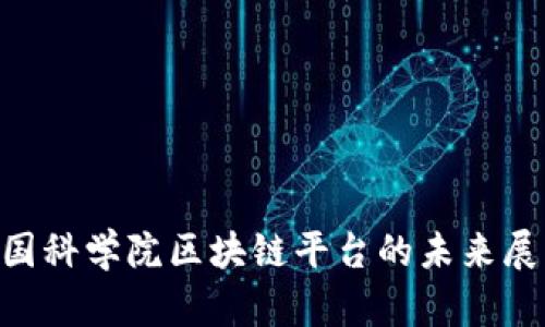 2025必看！中国科学院区块链平台的未来展望与发展机会