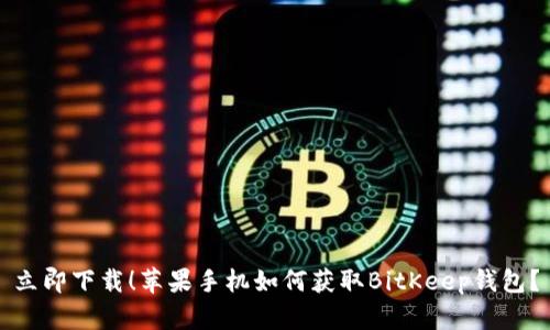 立即下载！苹果手机如何获取BitKeep钱包？
