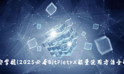 立即掌握！2025必看BitPietrX能量使用方法全解析