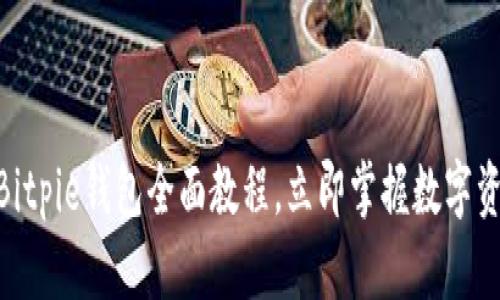 2025必看！Bitpie钱包全面教程，立即掌握数字资产安全管理