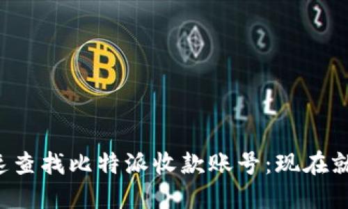 如何快速查找比特派收款账号：现在就来了解！