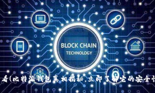 2025必看！比特派钱包真相揭秘，立即了解它的安全性与骗局