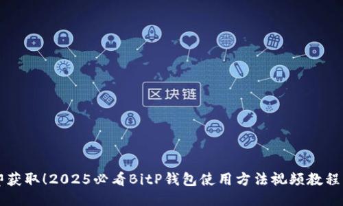 立即获取！2025必看BitP钱包使用方法视频教程下载
