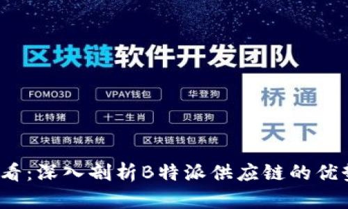 2025必看：深入剖析B特派供应链的优势与挑战