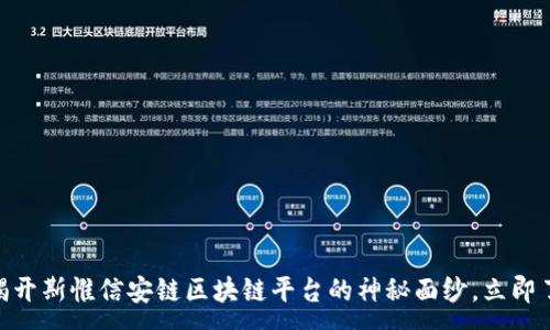 :
2025必看：揭开斯惟信安链区块链平台的神秘面纱，立即了解未来趋势