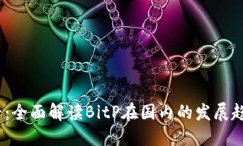 2025必看：全面解读BitP在国内的发展趋势与机遇