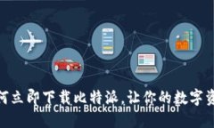 2025必看：如何立即下载比