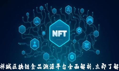 
2025必看：禅城区块链食品溯源平台全面解析，立即了解健康与安全