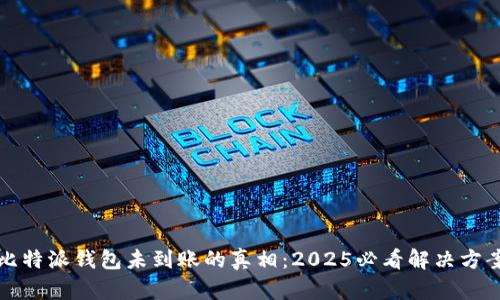 比特派钱包未到账的真相：2025必看解决方案