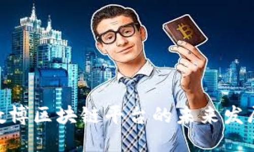 2025必看：数博区块链平台的未来发展机遇与挑战