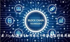 2025必看：Pig币（猪币）如