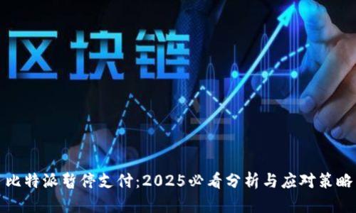 比特派暂停支付：2025必看分析与应对策略