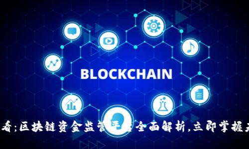 2025必看：区块链资金监管平台全面解析，立即掌握未来趋势