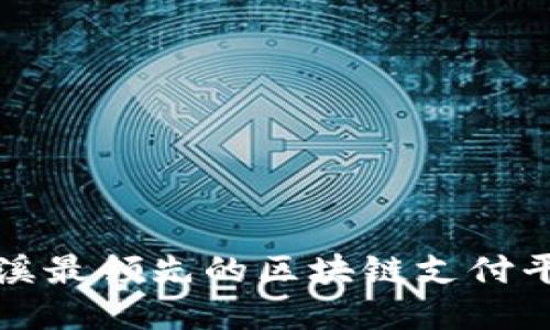 2025必看：鲸溪最领先的区块链支付平台，立即了解！