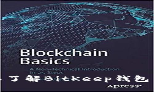 2025必看！深入了解BitKeep钱包网络的未来潜力