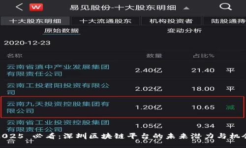 2025 必看：深圳区块链平台的未来潜力与机会