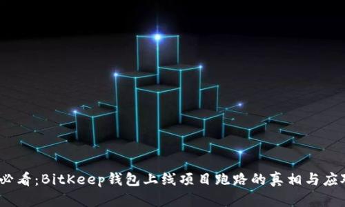 2025必看：BitKeep钱包上线项目跑路的真相与应对策略