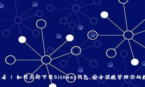 2025必看 | 如何立即下载BitKeep钱包，安全便捷管理你的数字资产