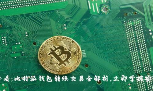 2025必看：比特派钱包转账交易全解析，立即掌握安全技巧！