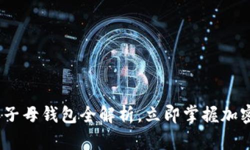 2025必看：比特派子母钱包全解析，立即掌握加密资产的安全秘密！