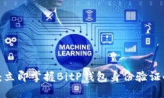 2025必看：立即掌握BitP钱包