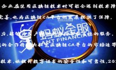   2025必看：区块链CA平台的