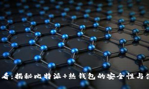 2025必看：揭秘比特派 热钱包的安全性与使用技巧