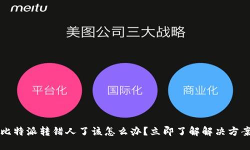 比特派转错人了该怎么办？立即了解解决方案