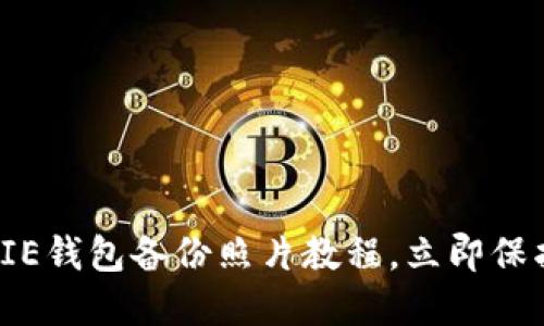 2025必看：BITPIE钱包备份照片教程，立即保护你的数字资产！