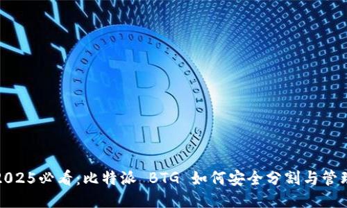 2025必看：比特派 BTG 如何安全分割与管理
